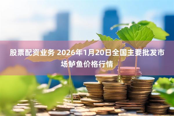 股票配资业务 2026年1月20日全国主要批发市场鲈鱼价格行情