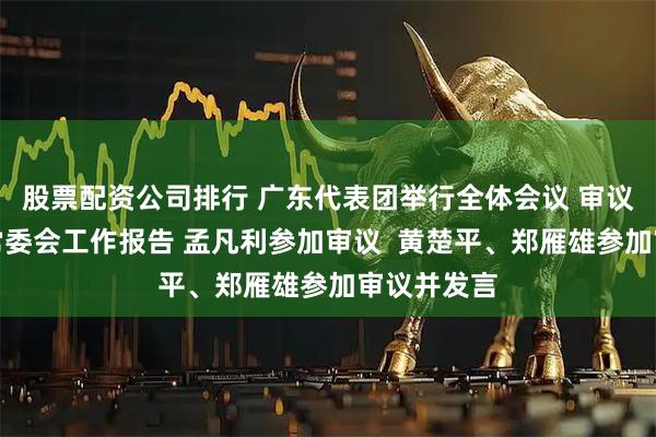 股票配资公司排行 广东代表团举行全体会议 审议全国人大常委会工作报告 孟凡利参加审议  黄楚平、郑雁雄参加审议并发言